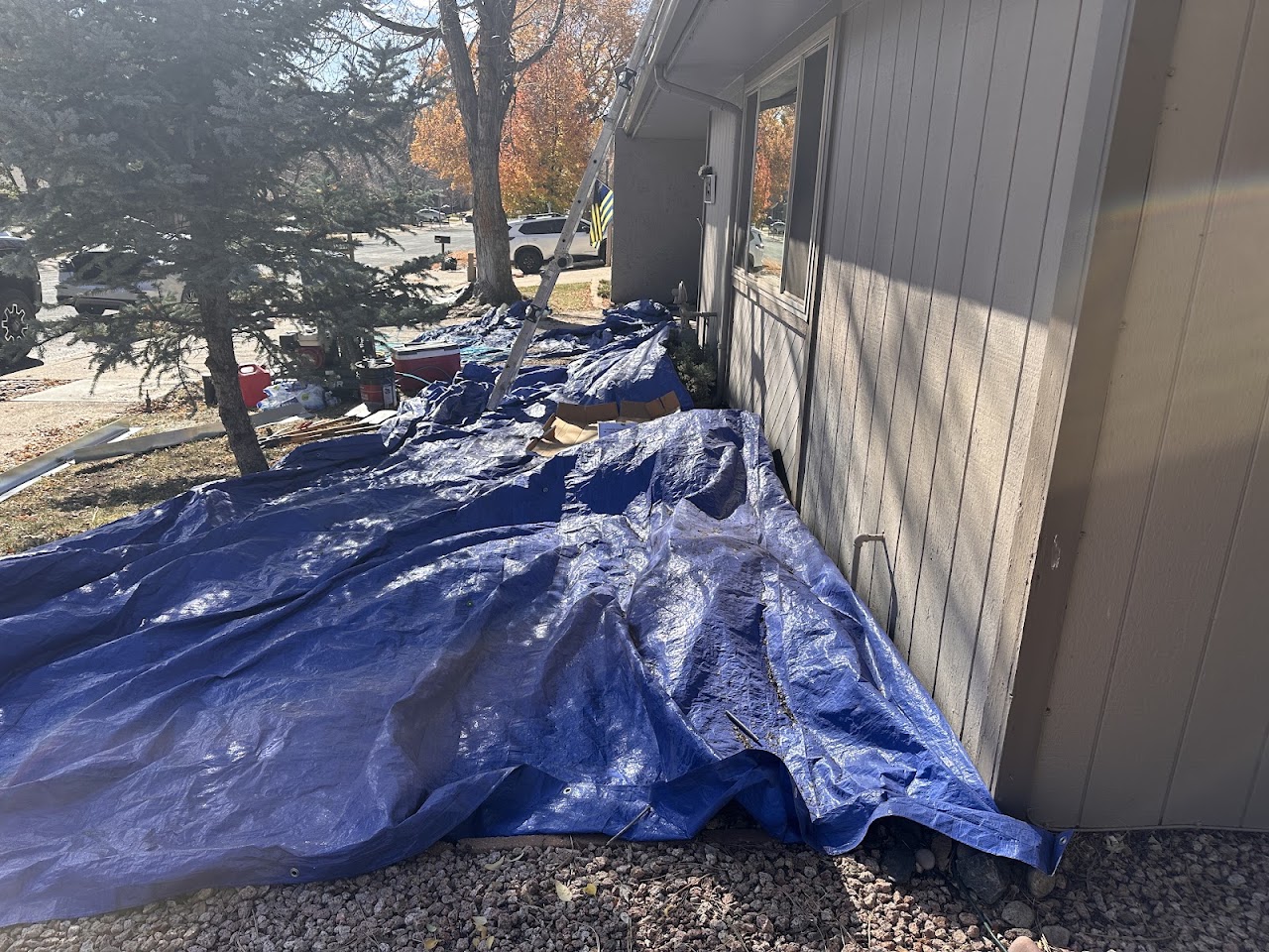Forest Eaves Roofing project